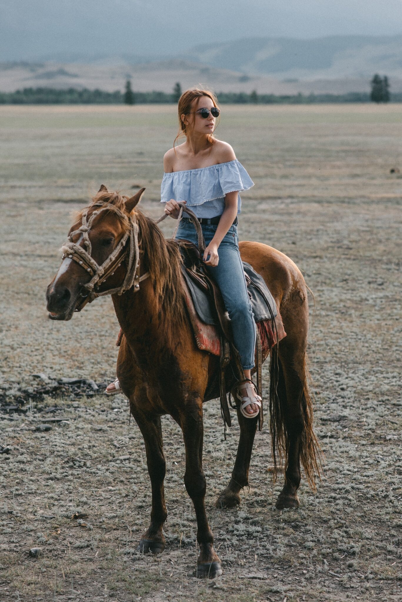 15 Best Jeans for Horseback Riding for Women All About Jeans